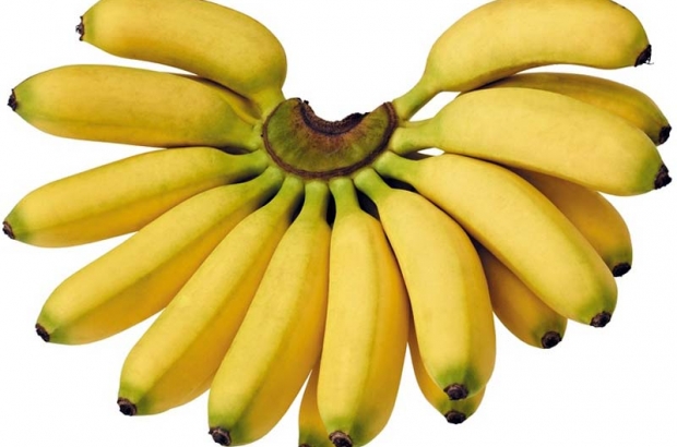 Hamil ibu pisang untuk 14 Manfaat